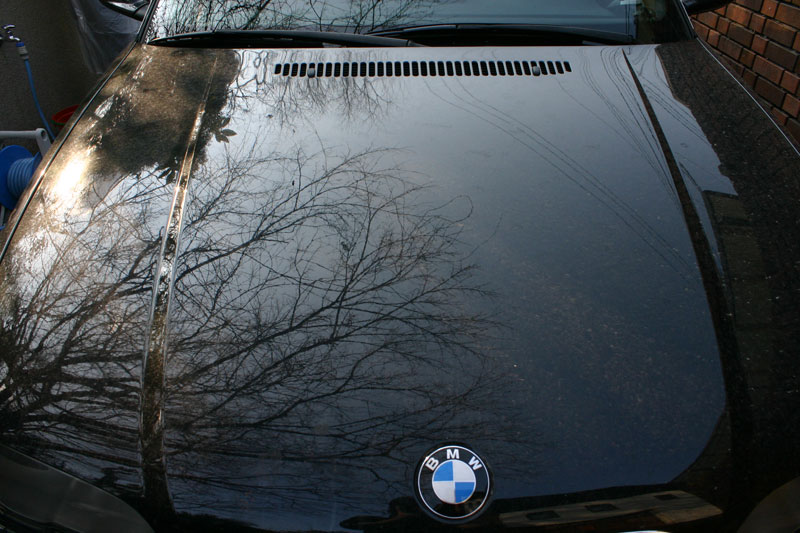 どろどろのBMWくん(>_<)