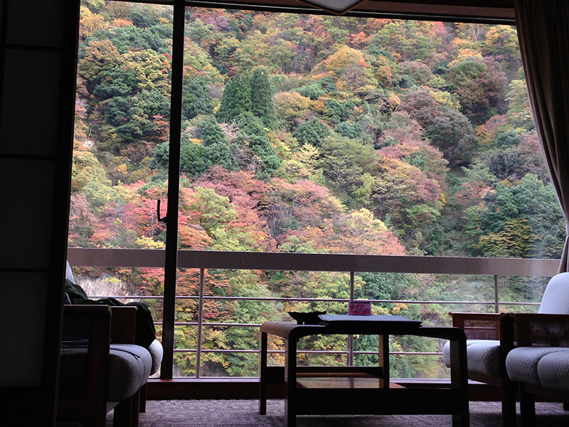 目覚めると紅葉